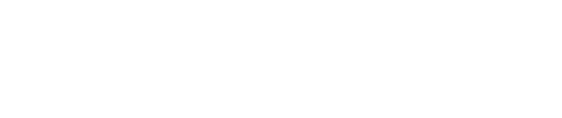 logo Sindrax Transis